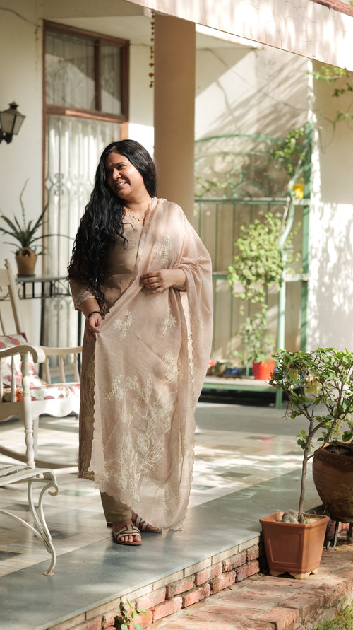 Beige Embroidered Suit Set